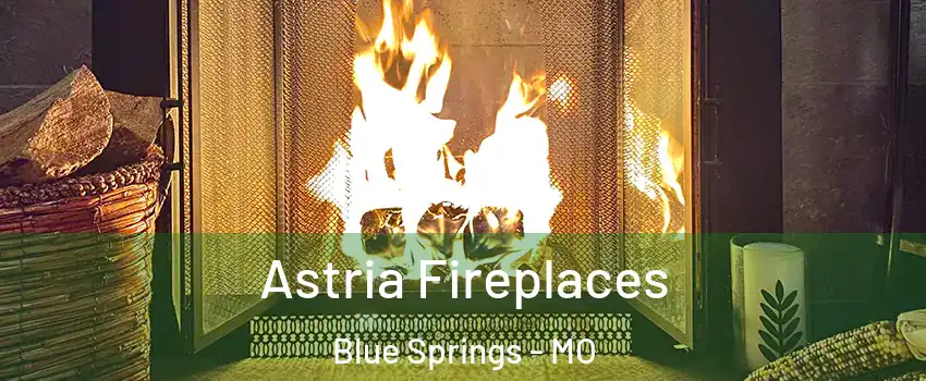  Astria Fireplaces Blue Springs - MO
