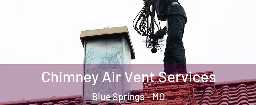  Chimney Air Vent Services Blue Springs - MO