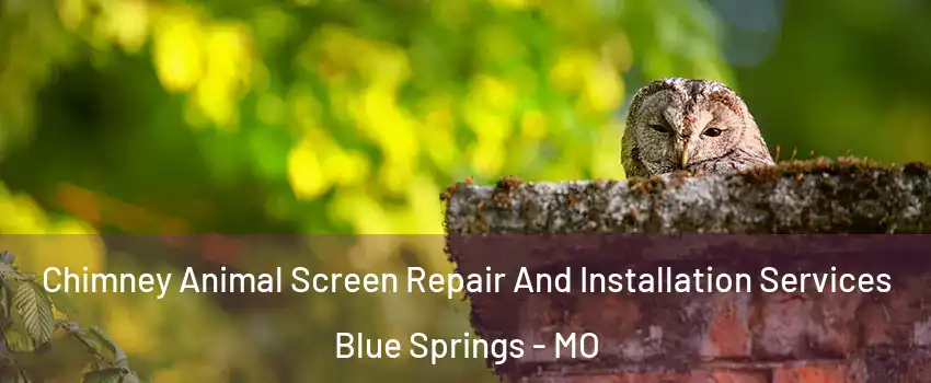  Chimney Animal Screen Repair And Installation Services Blue Springs - MO