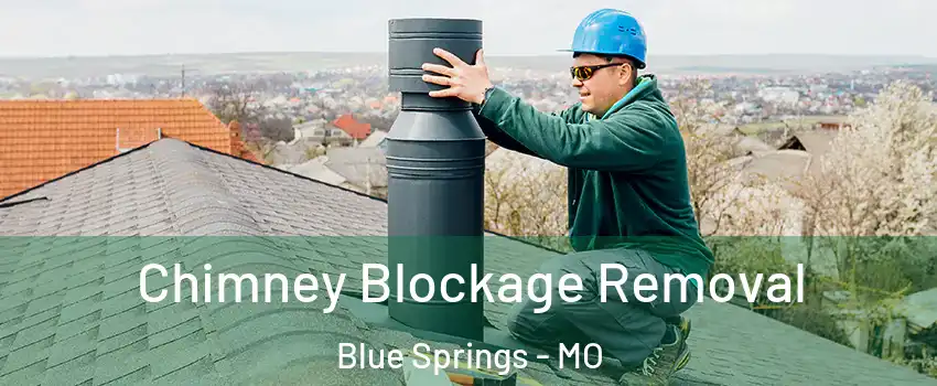 Chimney Blockage Removal Blue Springs - MO