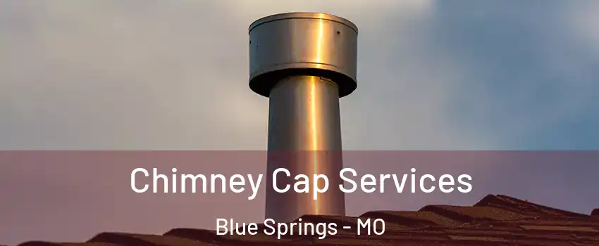  Chimney Cap Services Blue Springs - MO