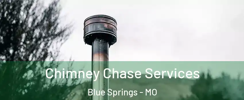  Chimney Chase Services Blue Springs - MO