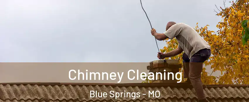  Chimney Cleaning Blue Springs - MO