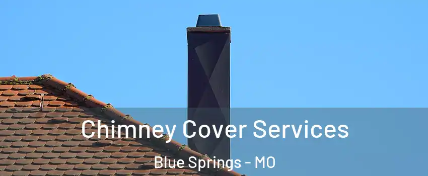  Chimney Cover Services Blue Springs - MO