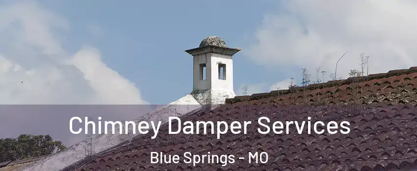  Chimney Damper Services Blue Springs - MO