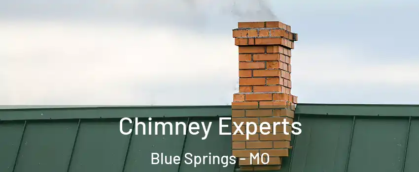  Chimney Experts Blue Springs - MO
