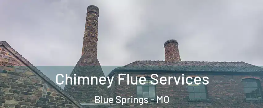  Chimney Flue Services Blue Springs - MO