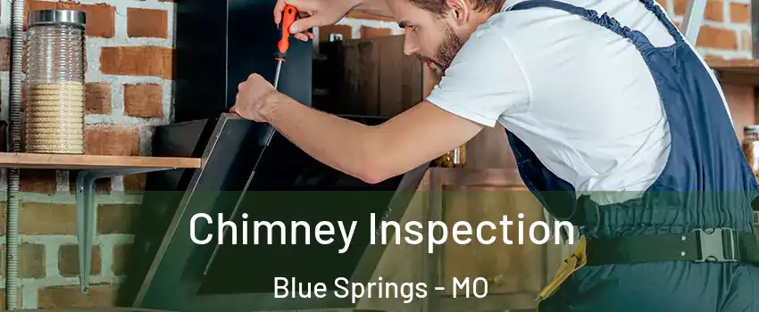  Chimney Inspection Blue Springs - MO