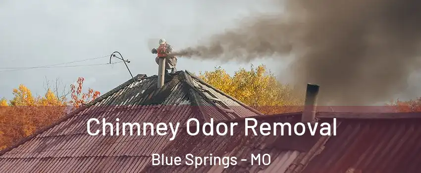  Chimney Odor Removal Blue Springs - MO