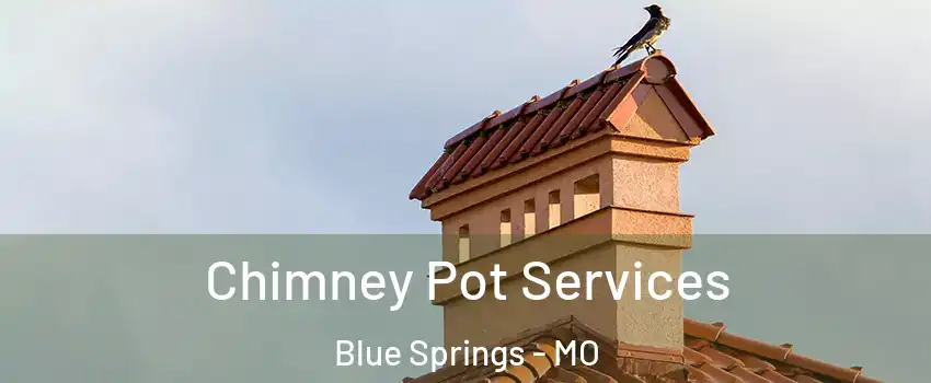  Chimney Pot Services Blue Springs - MO