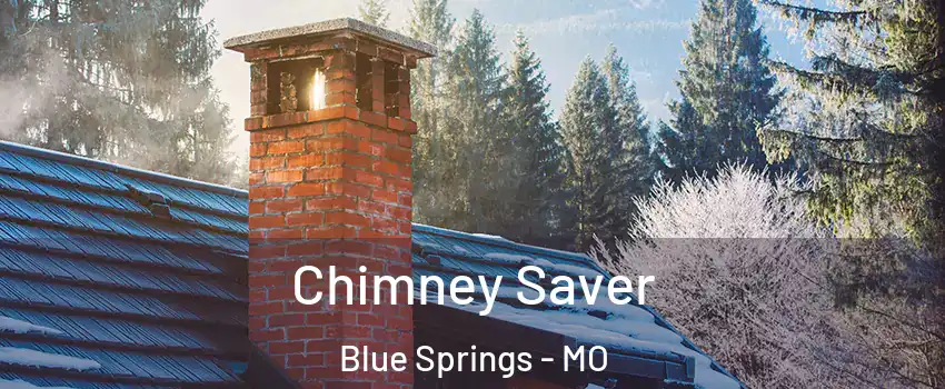  Chimney Saver Blue Springs - MO