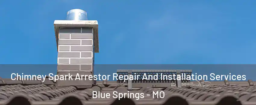  Chimney Spark Arrestor Repair And Installation Services Blue Springs - MO