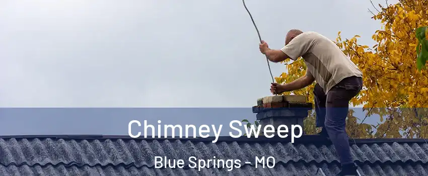  Chimney Sweep Blue Springs - MO