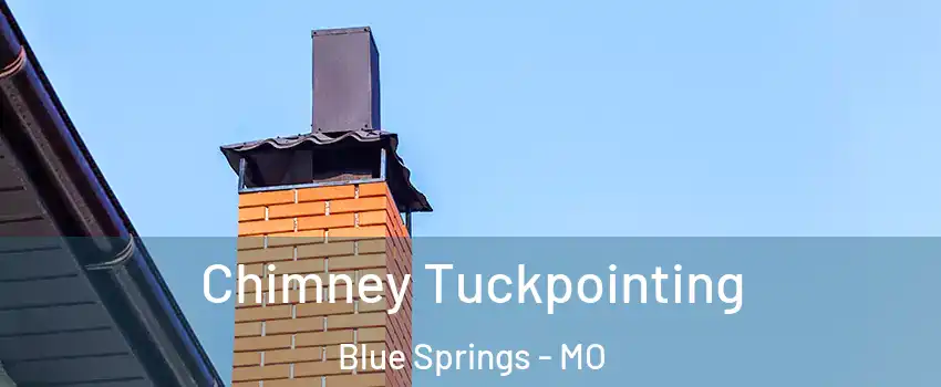  Chimney Tuckpointing Blue Springs - MO