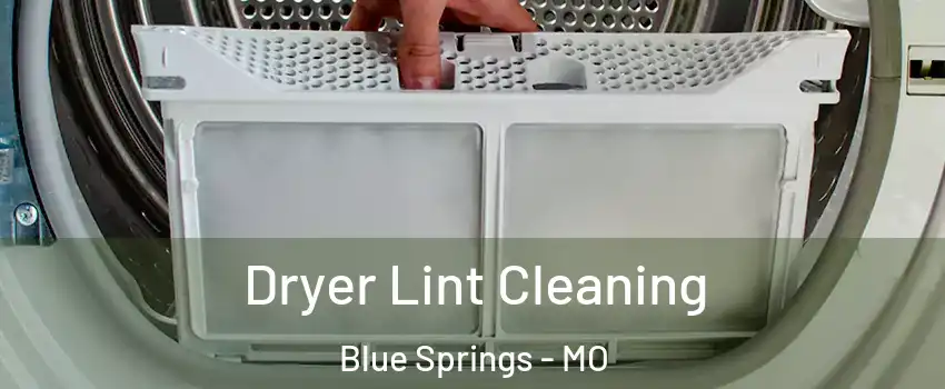  Dryer Lint Cleaning Blue Springs - MO