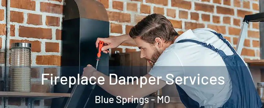  Fireplace Damper Services Blue Springs - MO