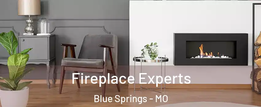  Fireplace Experts Blue Springs - MO