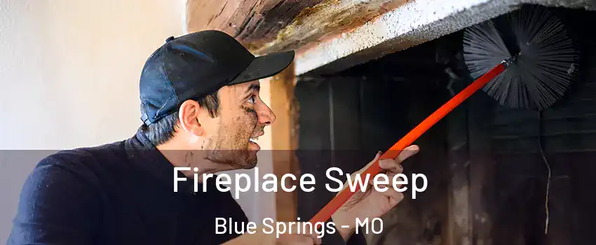  Fireplace Sweep Blue Springs - MO