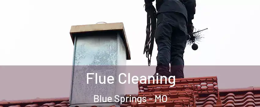  Flue Cleaning Blue Springs - MO