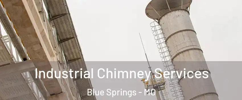  Industrial Chimney Services Blue Springs - MO