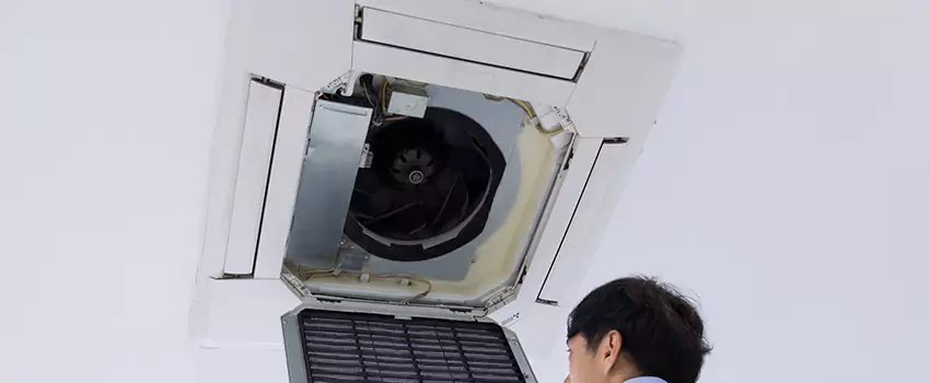 Benefits of Professional Air Duct Cleaning in Blue Springs, Missouri