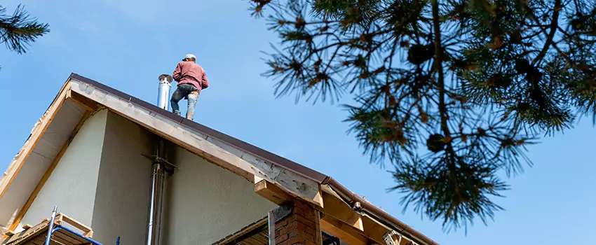 Birds Removal Contractors from Chimney in Blue Springs, MO
