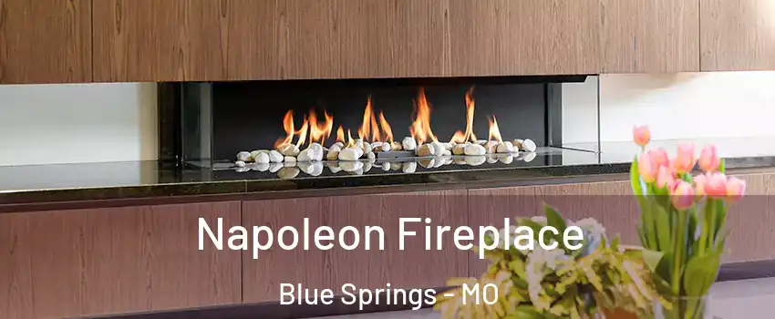  Napoleon Fireplace Blue Springs - MO