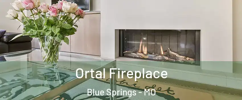  Ortal Fireplace Blue Springs - MO