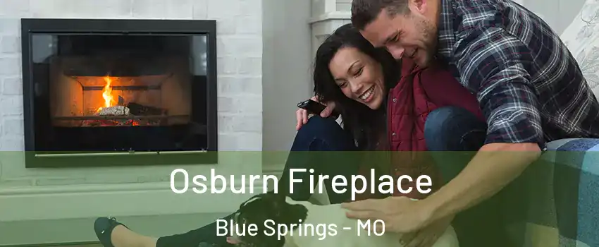  Osburn Fireplace Blue Springs - MO