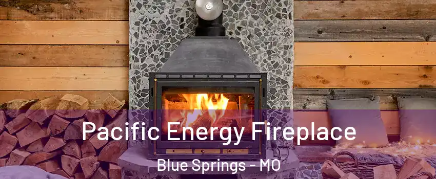  Pacific Energy Fireplace Blue Springs - MO