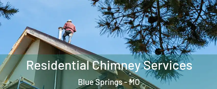  Residential Chimney Services Blue Springs - MO