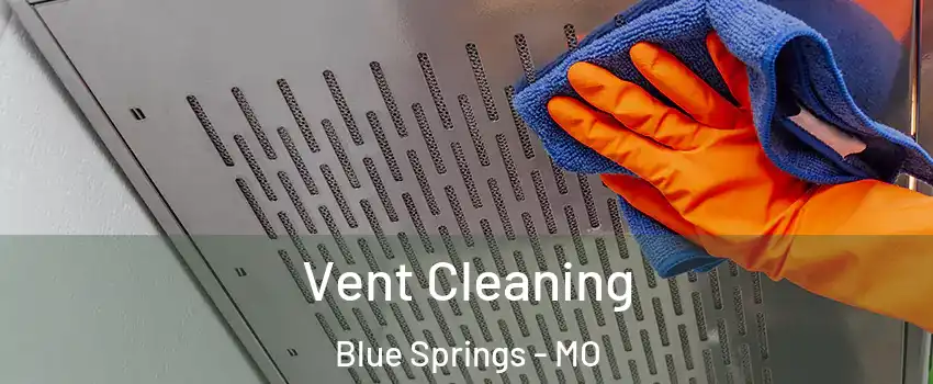  Vent Cleaning Blue Springs - MO