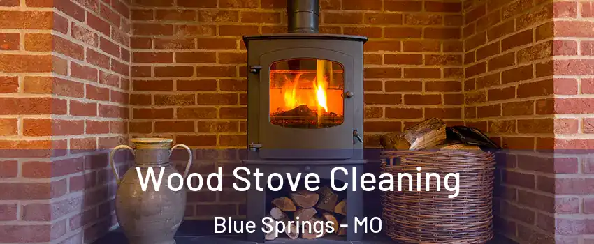  Wood Stove Cleaning Blue Springs - MO